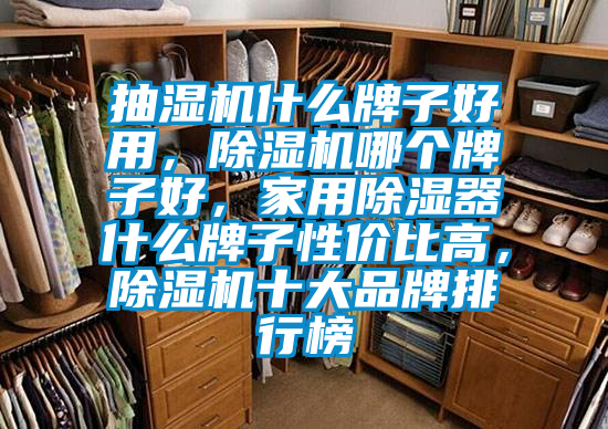 抽濕機(jī)什么牌子好用,除濕機(jī)哪個(gè)牌子好,家用除濕器什么牌子性價(jià)比高,除濕機(jī)十大品牌排行榜
