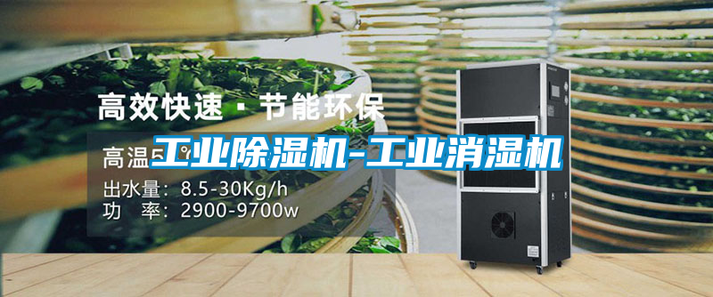 工業除濕機-工業消濕機
