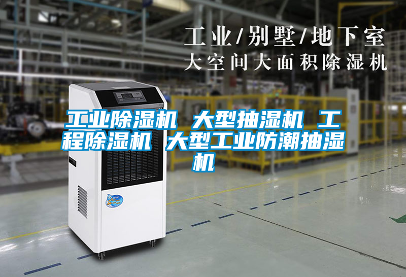 工業除濕機 大型抽濕機 工程除濕機 大型工業防潮抽濕機