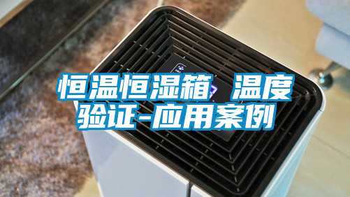 恒溫恒濕箱 溫度驗證-應用案例