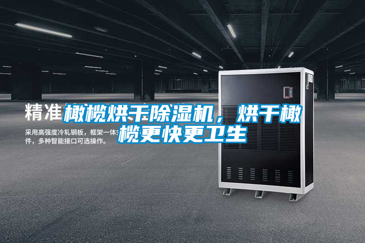 橄欖烘干除濕機,烘干橄欖更快更衛生