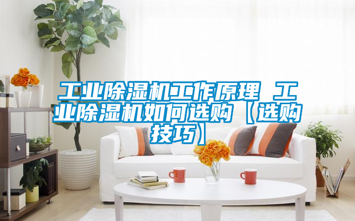 工業除濕機工作原理 工業除濕機如何選購【選購技巧】