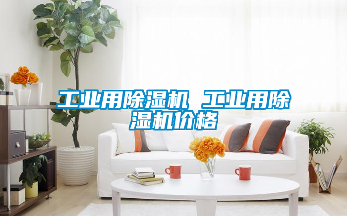 工業用除濕機 工業用除濕機價格