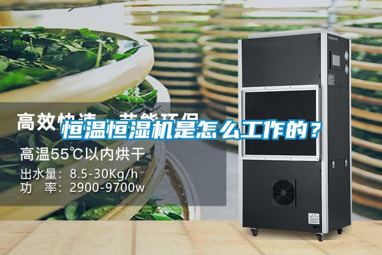 恒溫恒濕機是怎么工作的?