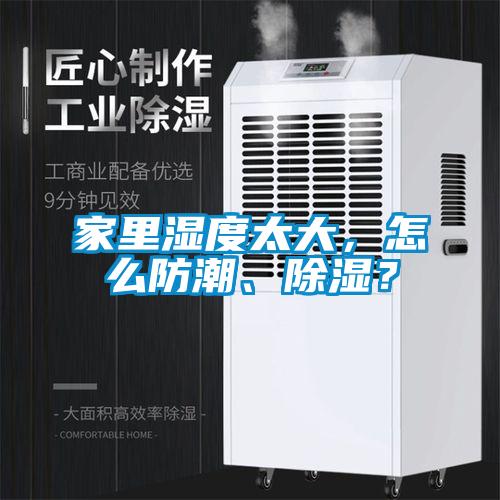 家里濕度太大，怎么防潮、除濕？