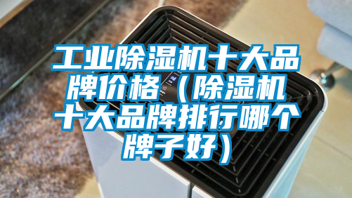 工業(yè)除濕機(jī)十大品牌價格(除濕機(jī)十大品牌排行哪個牌子好)