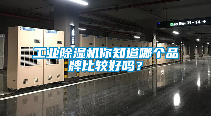 工業(yè)除濕機(jī)你知道哪個品牌比較好嗎？