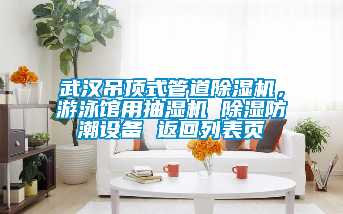武漢吊頂式管道除濕機,游泳館用抽濕機 除濕防潮設備 返回列表頁