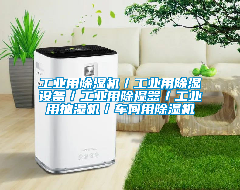 工業(yè)用除濕機/工業(yè)用除濕設備/工業(yè)用除濕器/工業(yè)用抽濕機/車間用除濕機