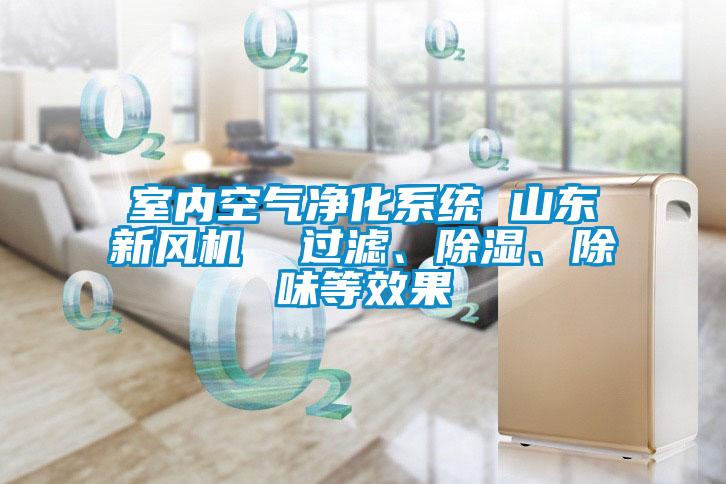 室內(nèi)空氣凈化系統(tǒng) 山東新風機  過濾、除濕、除味等效果