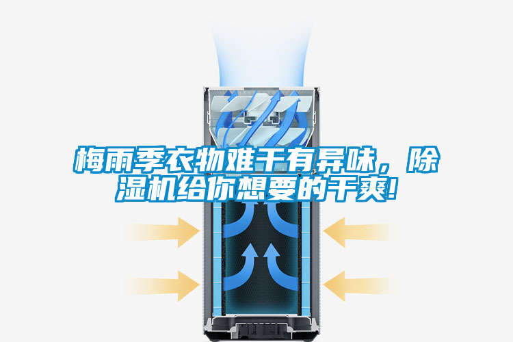 梅雨季衣物難干有異味，除濕機(jī)給你想要的干爽!