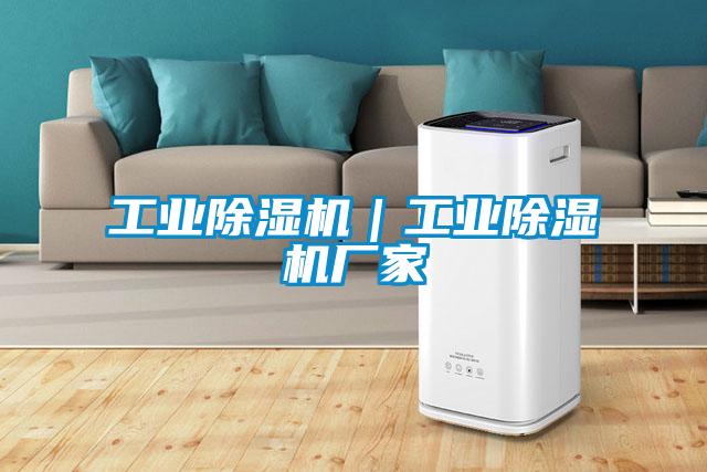 工業除濕機|工業除濕機廠家