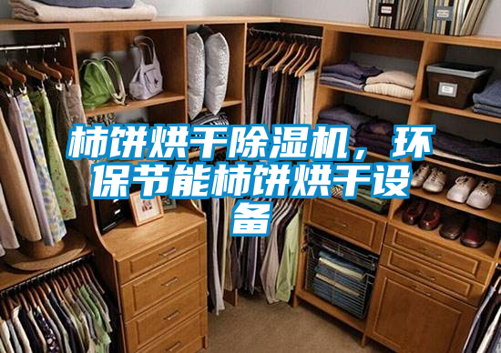 柿餅烘干除濕機，環保節能柿餅烘干設備