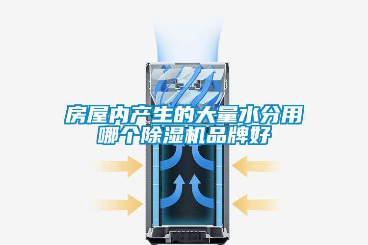 房屋內產生的大量水分用哪個除濕機品牌好