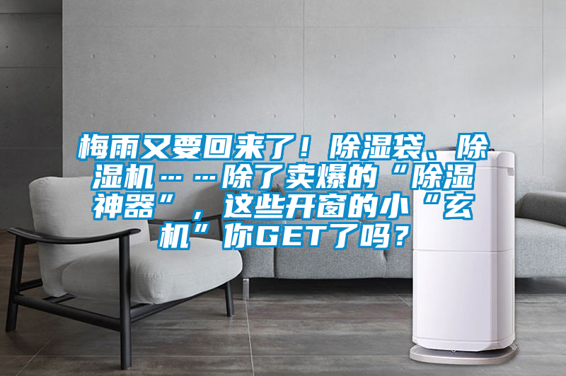 梅雨又要回來了!除濕袋、除濕機……除了賣爆的“除濕神器”,這些開窗的小“玄機”你GET了嗎?