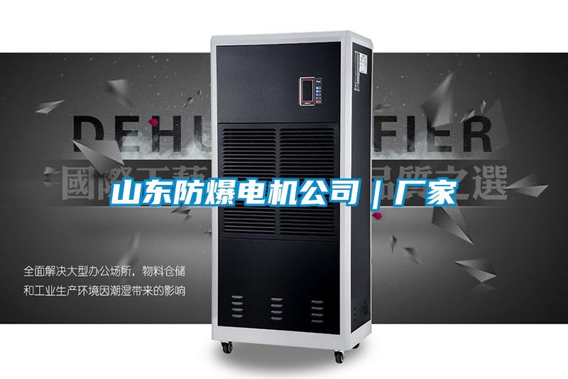 山東防爆電機公司|廠家