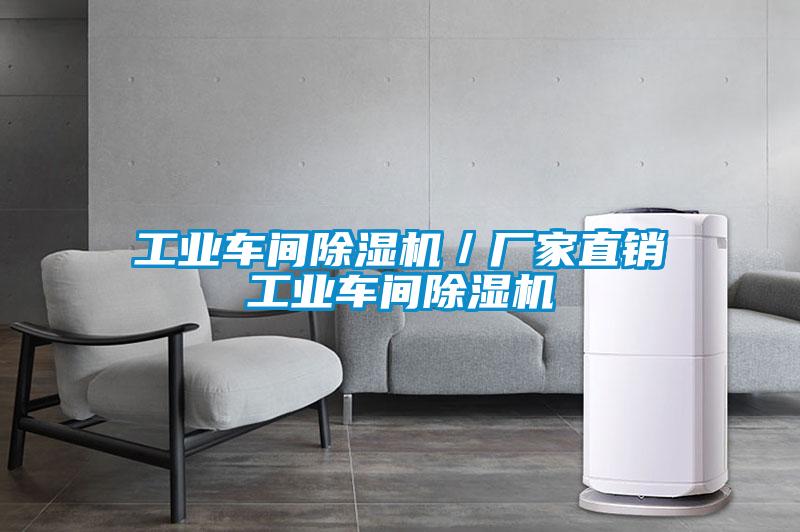 工業車間除濕機／廠家直銷工業車間除濕機