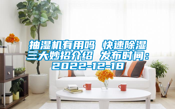 抽濕機有用嗎 快速除濕三大妙招介紹 發布時間：2022-12-18