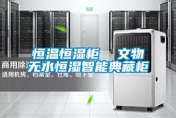 恒溫恒濕柜 文物無(wú)水恒濕智能典藏柜