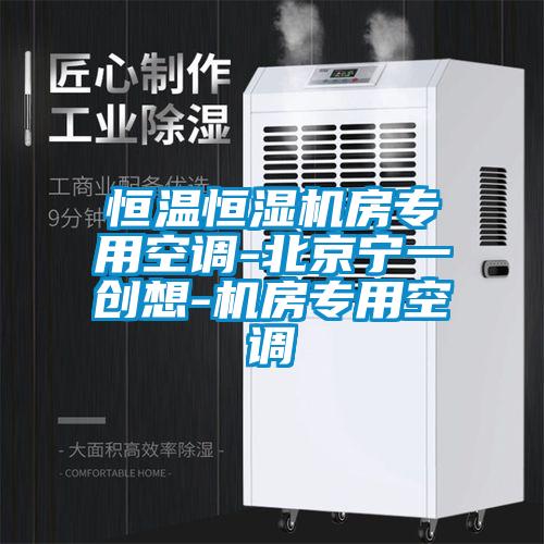 恒溫恒濕機(jī)房專(zhuān)用空調(diào)-北京寧一創(chuàng)想-機(jī)房專(zhuān)用空調(diào)