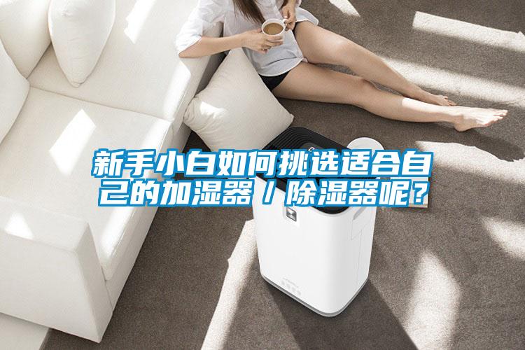 新手小白如何挑選適合自己的加濕器／除濕器呢？
