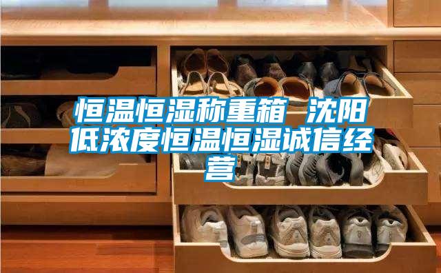 恒溫恒濕稱重箱 沈陽低濃度恒溫恒濕誠信經營