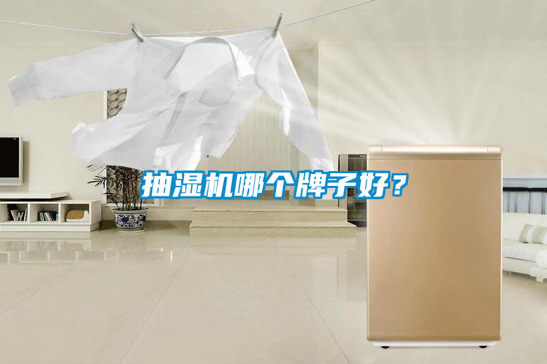 抽濕機哪個牌子好？