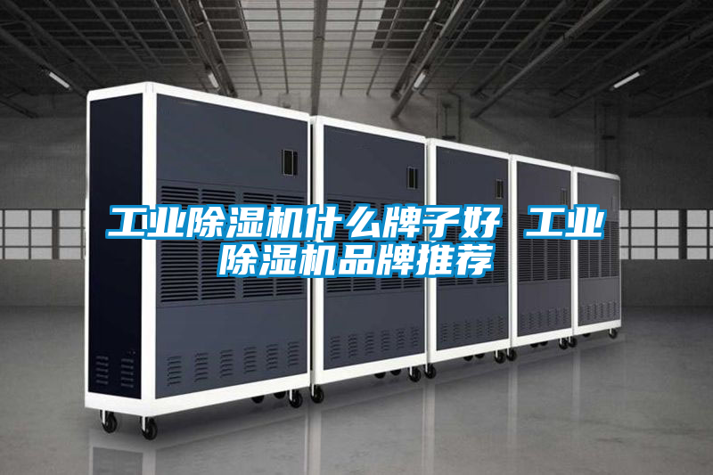 工業除濕機什么牌子好 工業除濕機品牌推薦