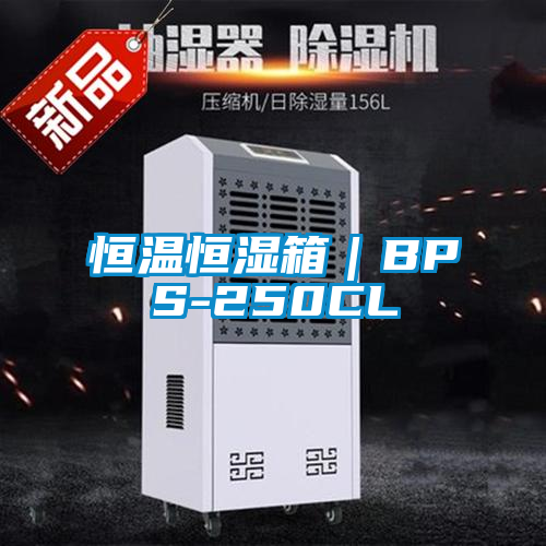恒溫恒濕箱|BPS-250CL