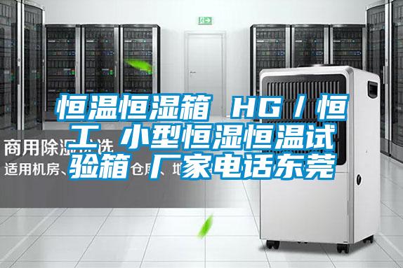 恒溫恒濕箱 HG/恒工 小型恒濕恒溫試驗箱 廠家電話東莞
