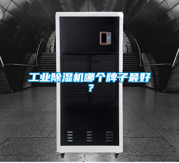 工業除濕機哪個牌子最好？