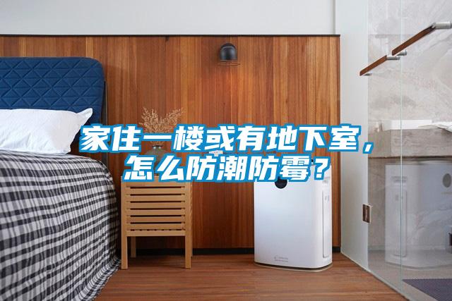 家住一樓或有地下室，怎么防潮防霉？