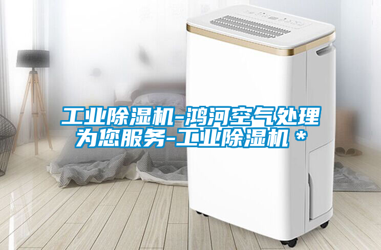 工業除濕機-鴻河空氣處理為您服務-工業除濕機*