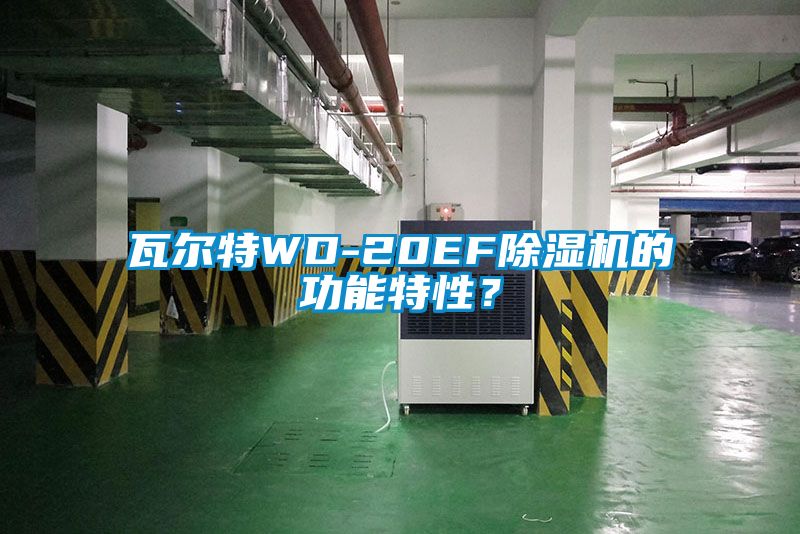 瓦爾特WD-20EF除濕機的功能特性?