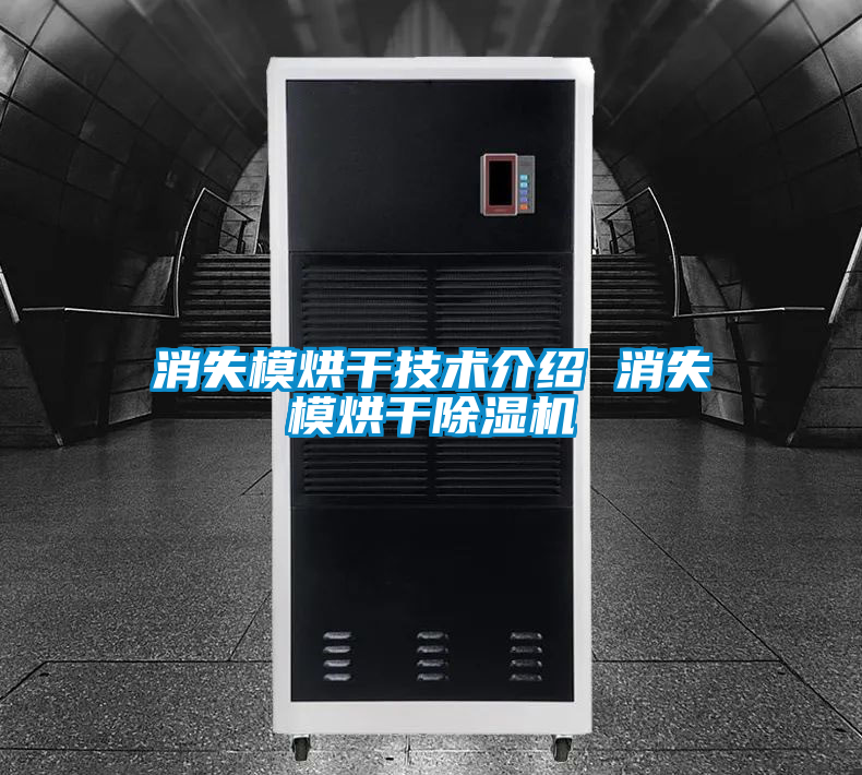 消失模烘干技術介紹 消失模烘干除濕機