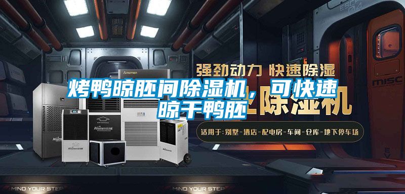 烤鴨晾胚間除濕機,可快速晾干鴨胚