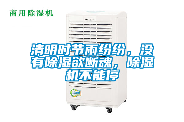 清明時節雨紛紛，沒有除濕欲斷魂，除濕機不能停