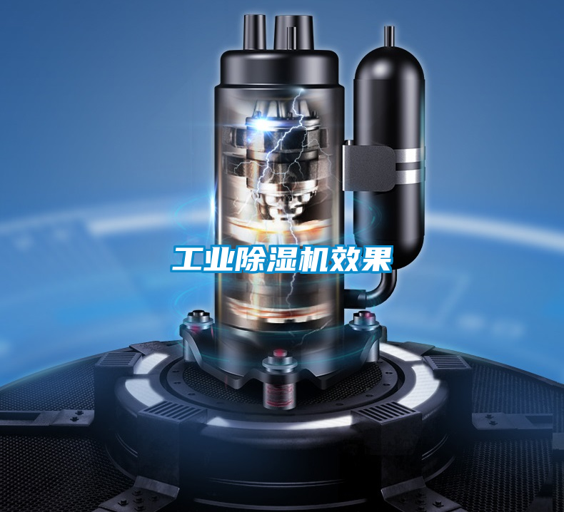 工業除濕機效果
