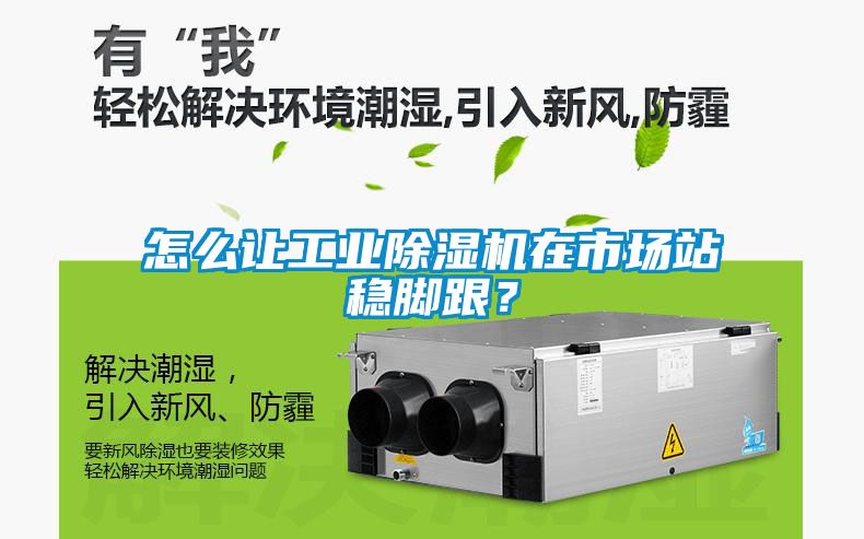 怎么讓工業(yè)除濕機在市場站穩(wěn)腳跟？