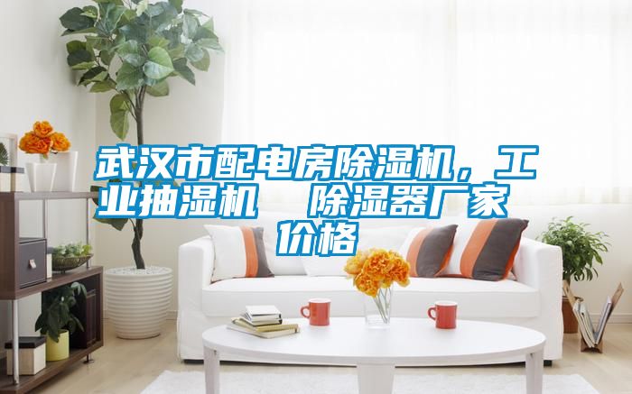 武漢市配電房除濕機，工業抽濕機  除濕器廠家 價格