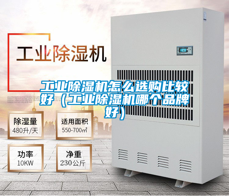 工業除濕機怎么選購比較好（工業除濕機哪個品牌好）