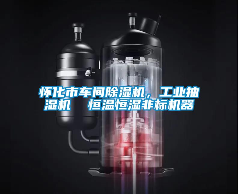 懷化市車間除濕機(jī),工業(yè)抽濕機(jī) 恒溫恒濕非標(biāo)機(jī)器