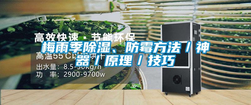 梅雨季除濕、防霉方法/神器/原理/技巧