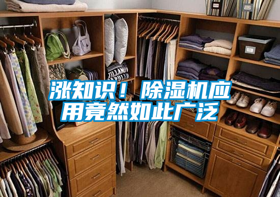 漲知識！除濕機應用竟然如此廣泛