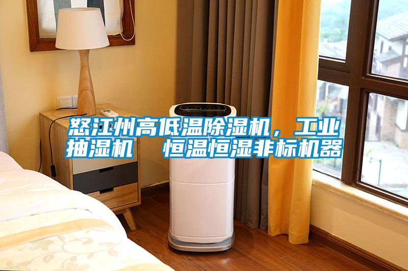 怒江州高低溫除濕機(jī),工業(yè)抽濕機(jī) 恒溫恒濕非標(biāo)機(jī)器