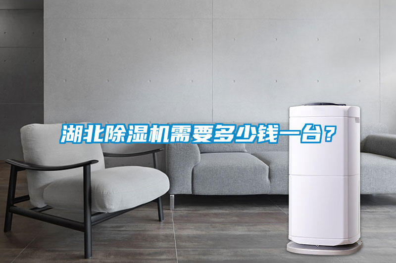 湖北除濕機需要多少錢一臺？