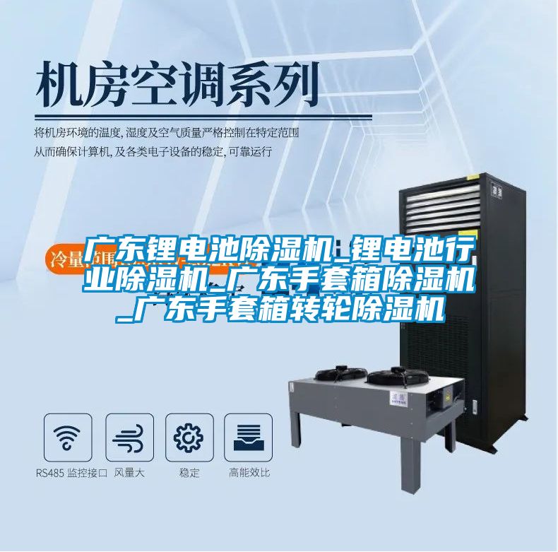 廣東鋰電池除濕機_鋰電池行業除濕機_廣東手套箱除濕機_廣東手套箱轉輪除濕機
