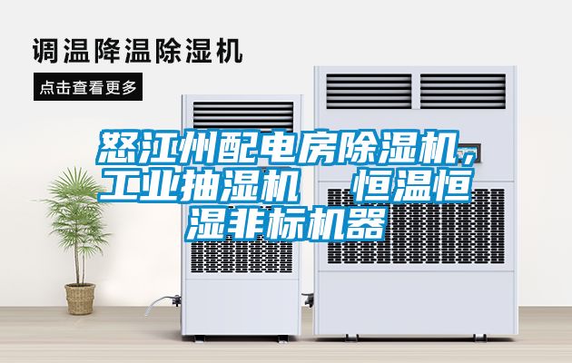 怒江州配電房除濕機,工業(yè)抽濕機 恒溫恒濕非標(biāo)機器