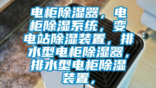電柜除濕器,電柜除濕系統(tǒng),變電站除濕裝置,排水型電柜除濕器,排水型電柜除濕裝置,
