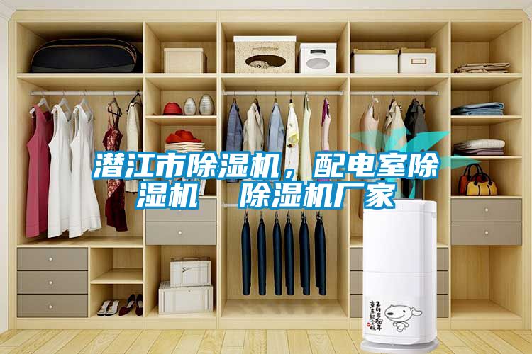 潛江市除濕機,配電室除濕機 除濕機廠家